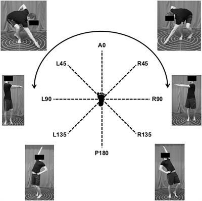 Influence of Anthropometry, Age, Sex, and Activity Level on the Hand Reach Star Excursion Balance Test